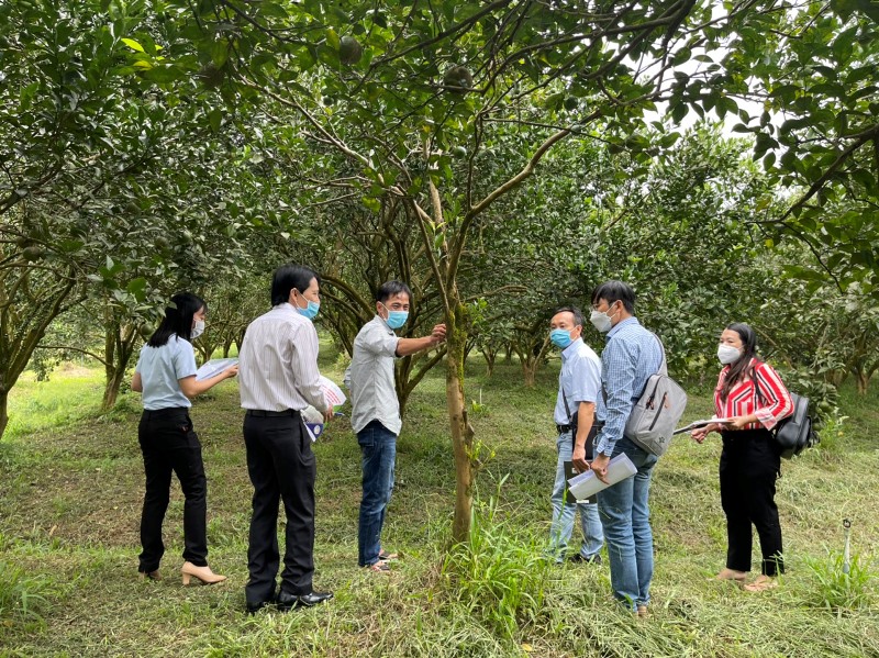 Giám đốc HTX Nông nghiệp Thương mại Dịch vụ Bình Minh Hà Thắng: Nông nghiệp hữu cơ là “chìa khóa” để nông dân lập nghiệp trên mảnh đất quê hương