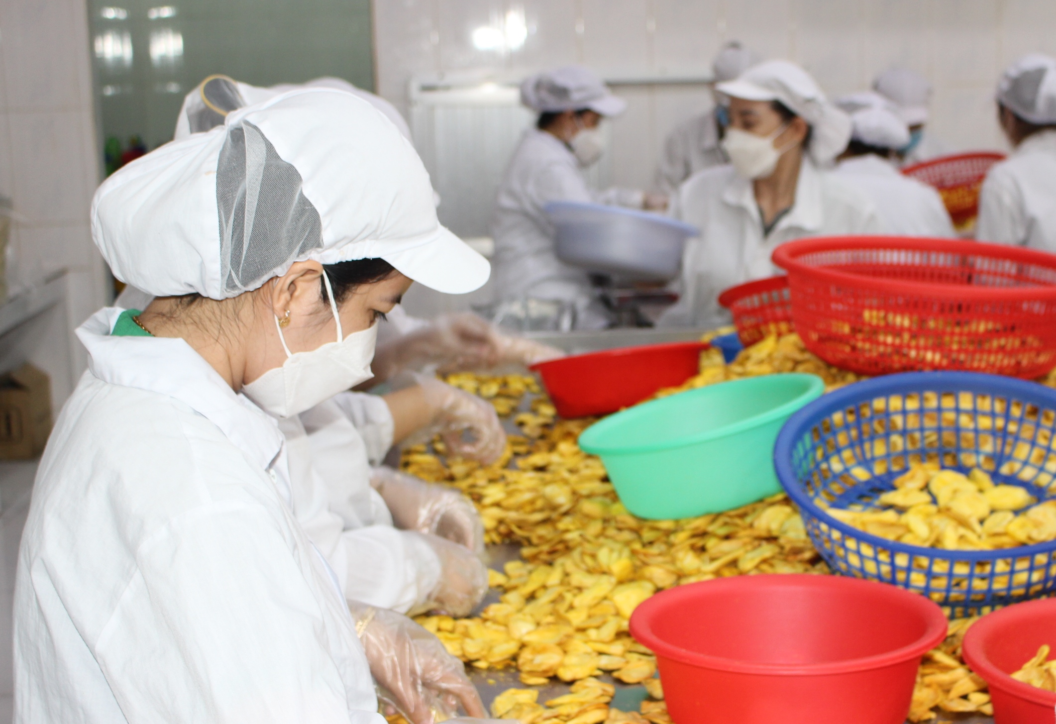 Phát triển 1.000 doanh nghiệp tiên phong giai đoạn 2026-2030